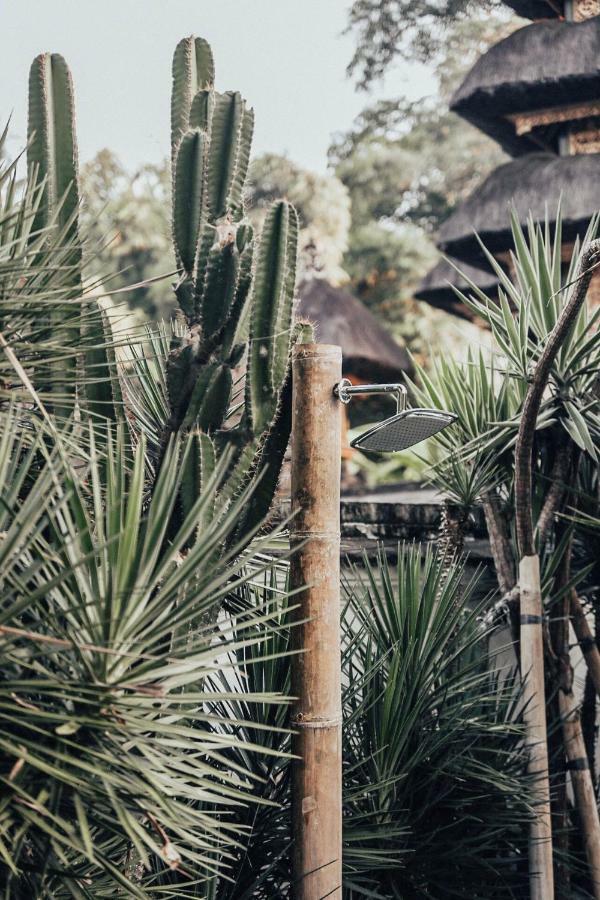 The Seseh House Villa Canggu  Exterior photo